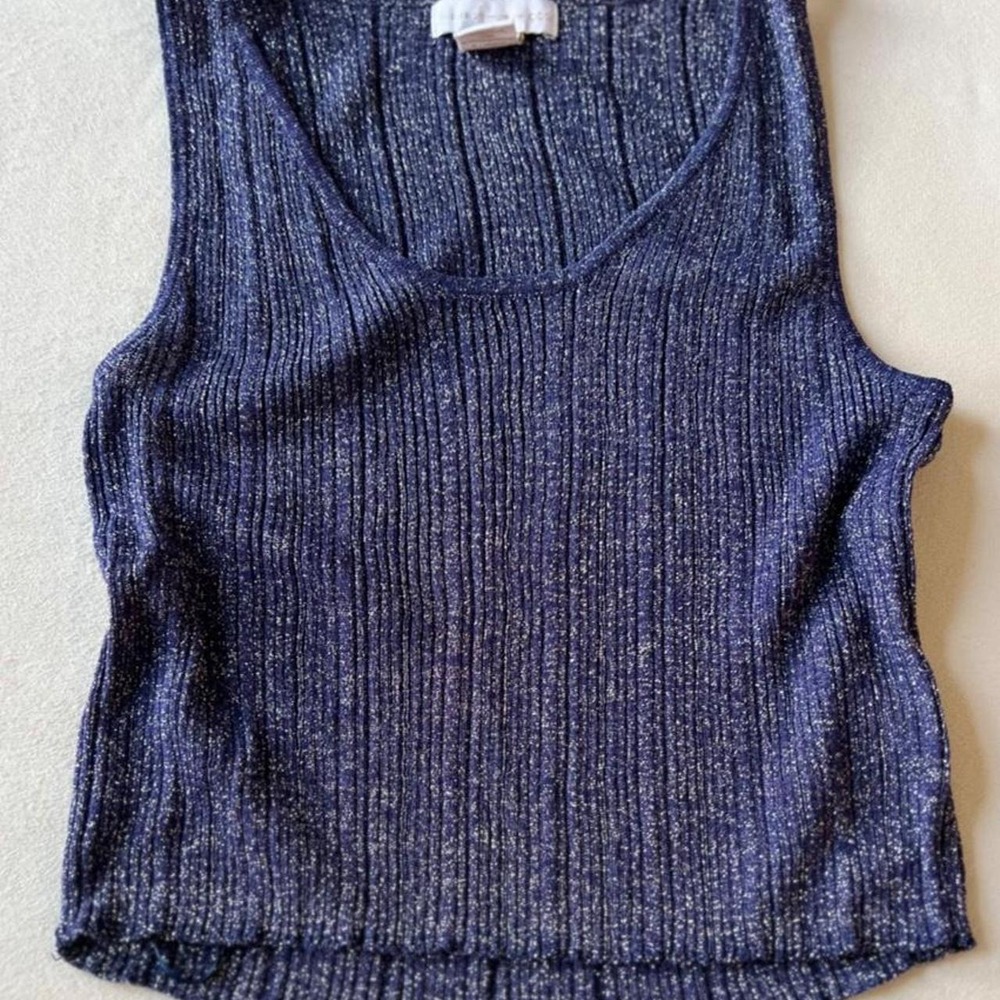 House of Harlow 1960 navy blue ribbed knit tanktop silver glitter classy summer